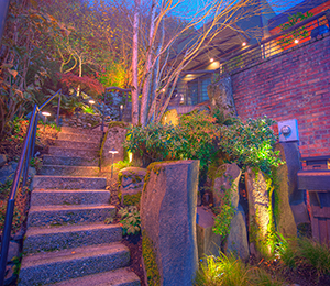 color-tone-landscape-lighting